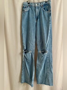Zara The 90's Full-Length Jeans — Size 6